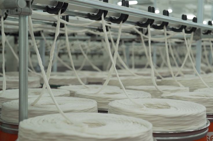 BSL Ltd commissions ₹150-cr cotton spinning unit in Bhilwara, India